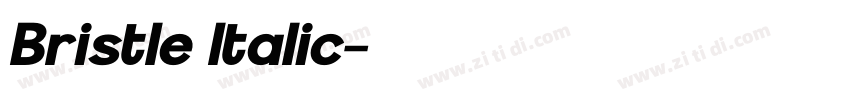 Bristle Italic字体转换 Bristle Italic字体转换